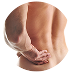Lower back pain: Looking at the little muscles
